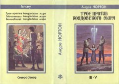 «Трое против колдовского мира» — Андре НОРТОН. Художник Денис Гордеев