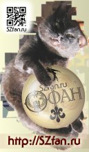 Тема сайта SZfan.ru в цепких лапах