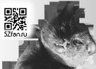 Тема сайта SZfan.ru в цепких лапах