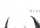 Bruxa, monster from the witcher short story (A Grain of Truth)